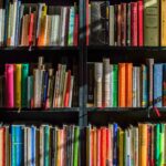 LLibres en una prestatgeria. / Pexels