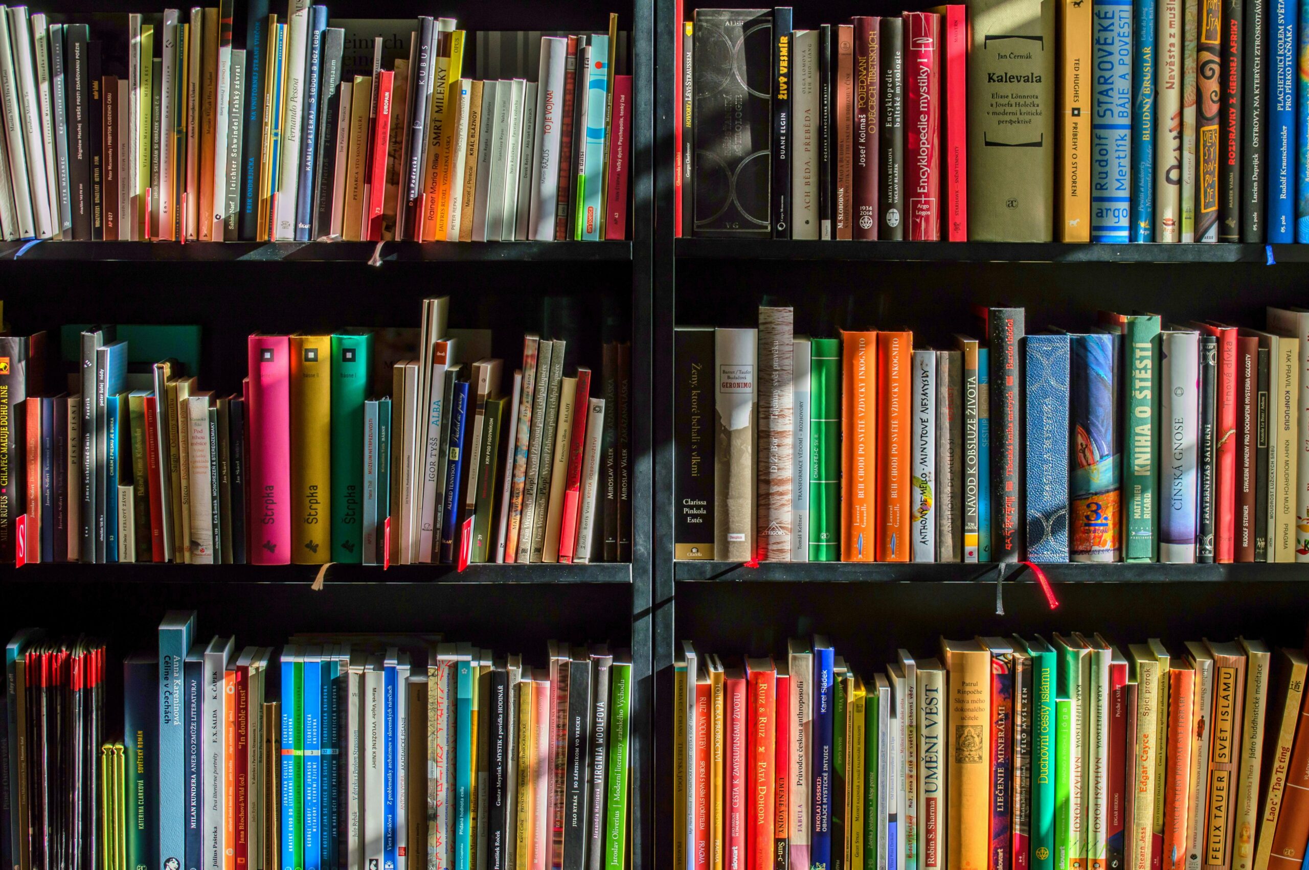 LLibres en una prestatgeria. / Pexels